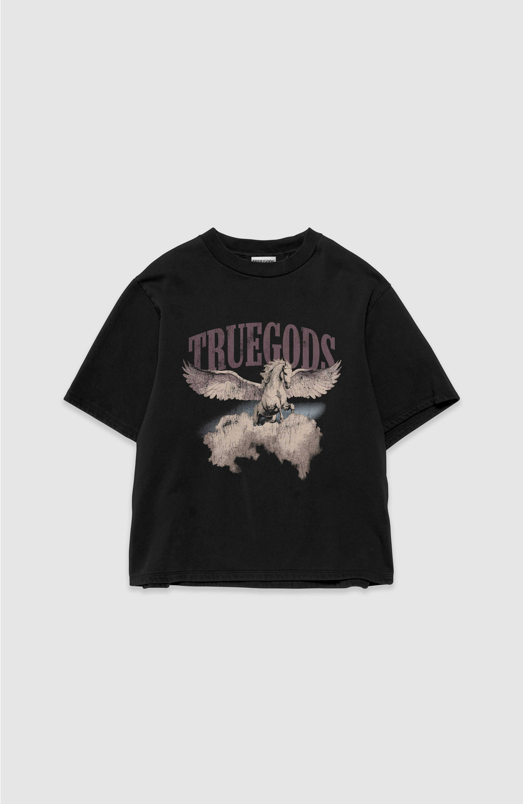 Winged Horse Tshirt