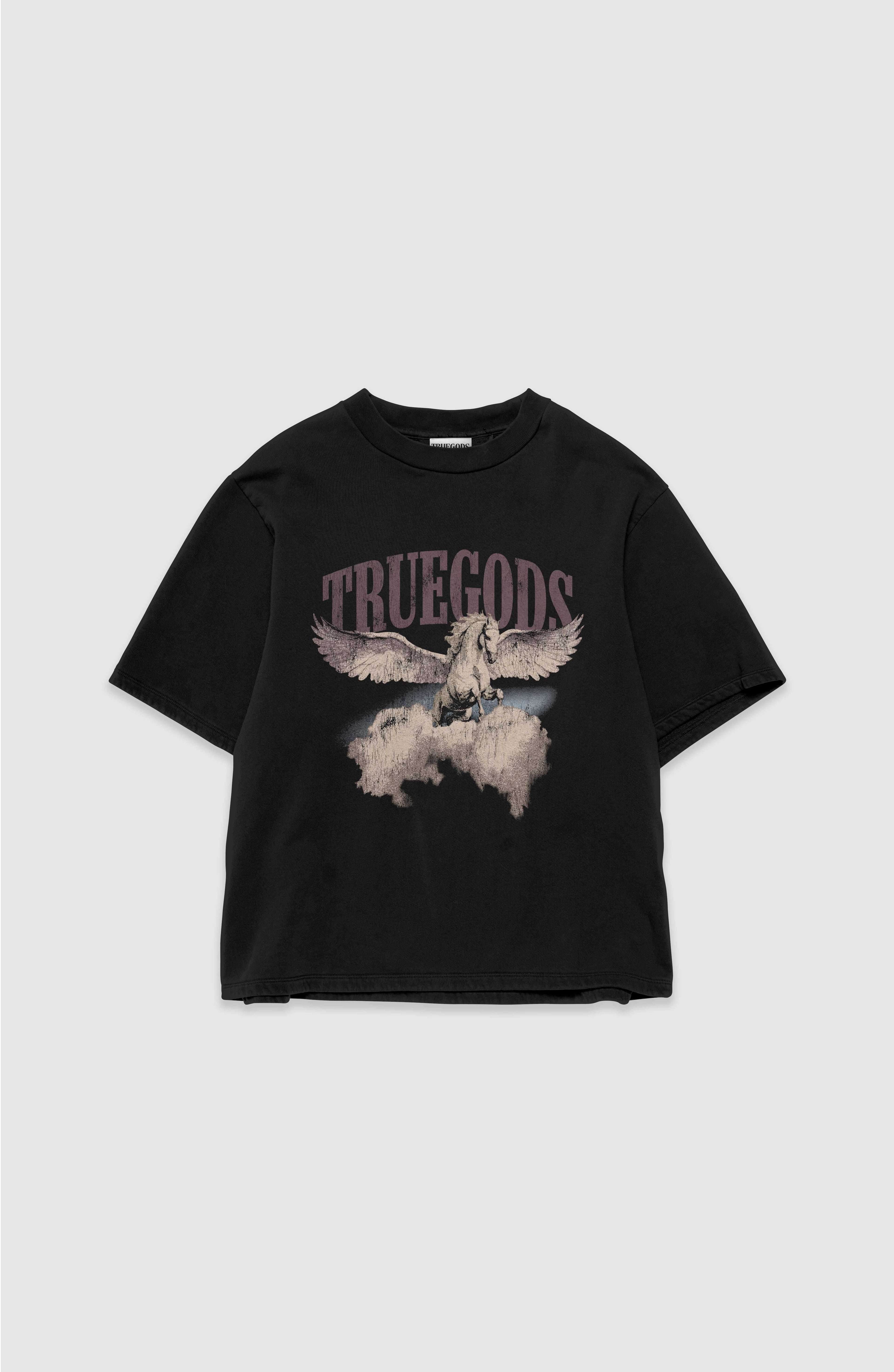 Winged Horse Tshirt