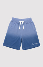 Ombre Blue Embroidered Shorts