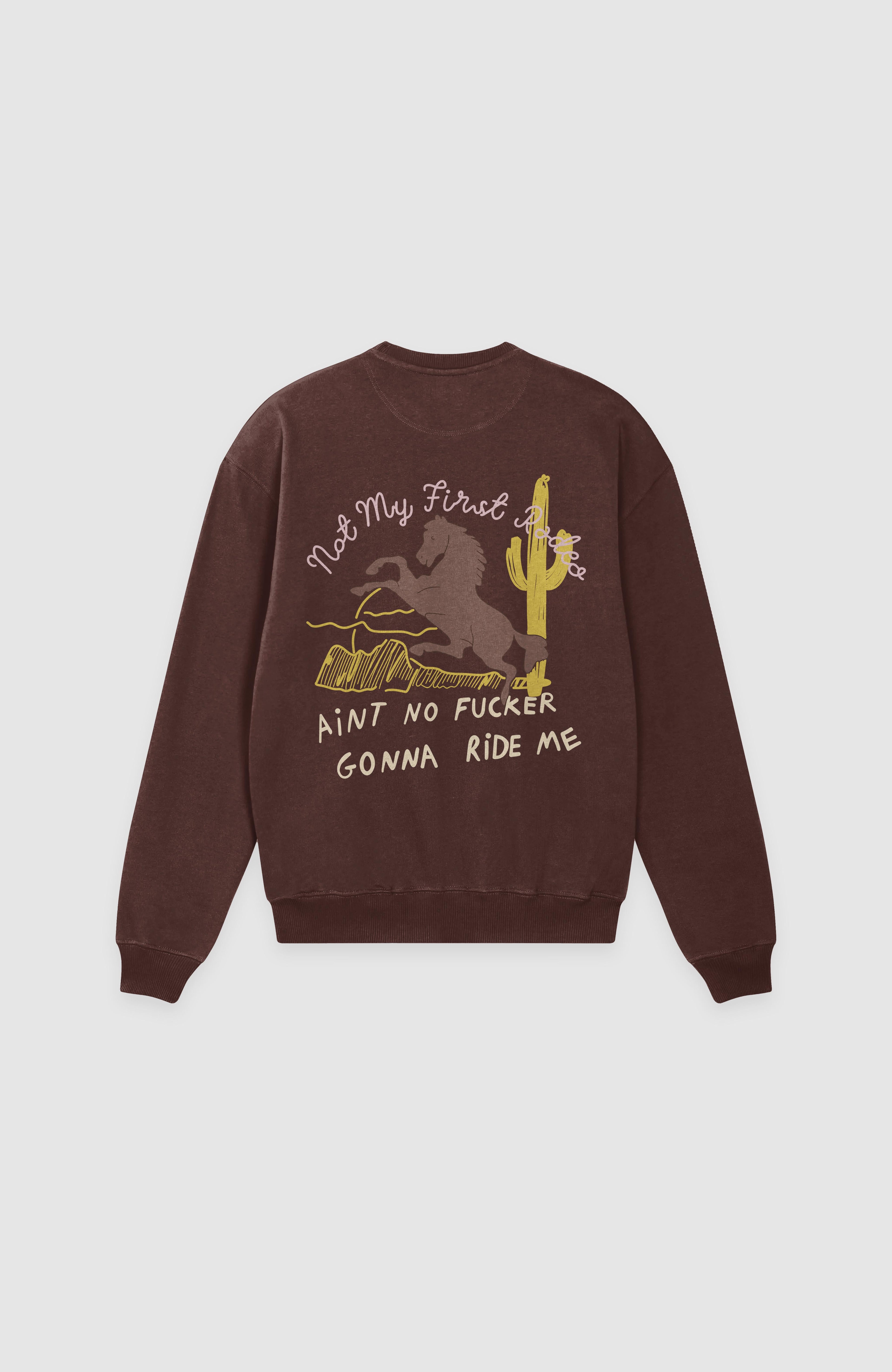DESERT PRIDE SWEATSHIRT