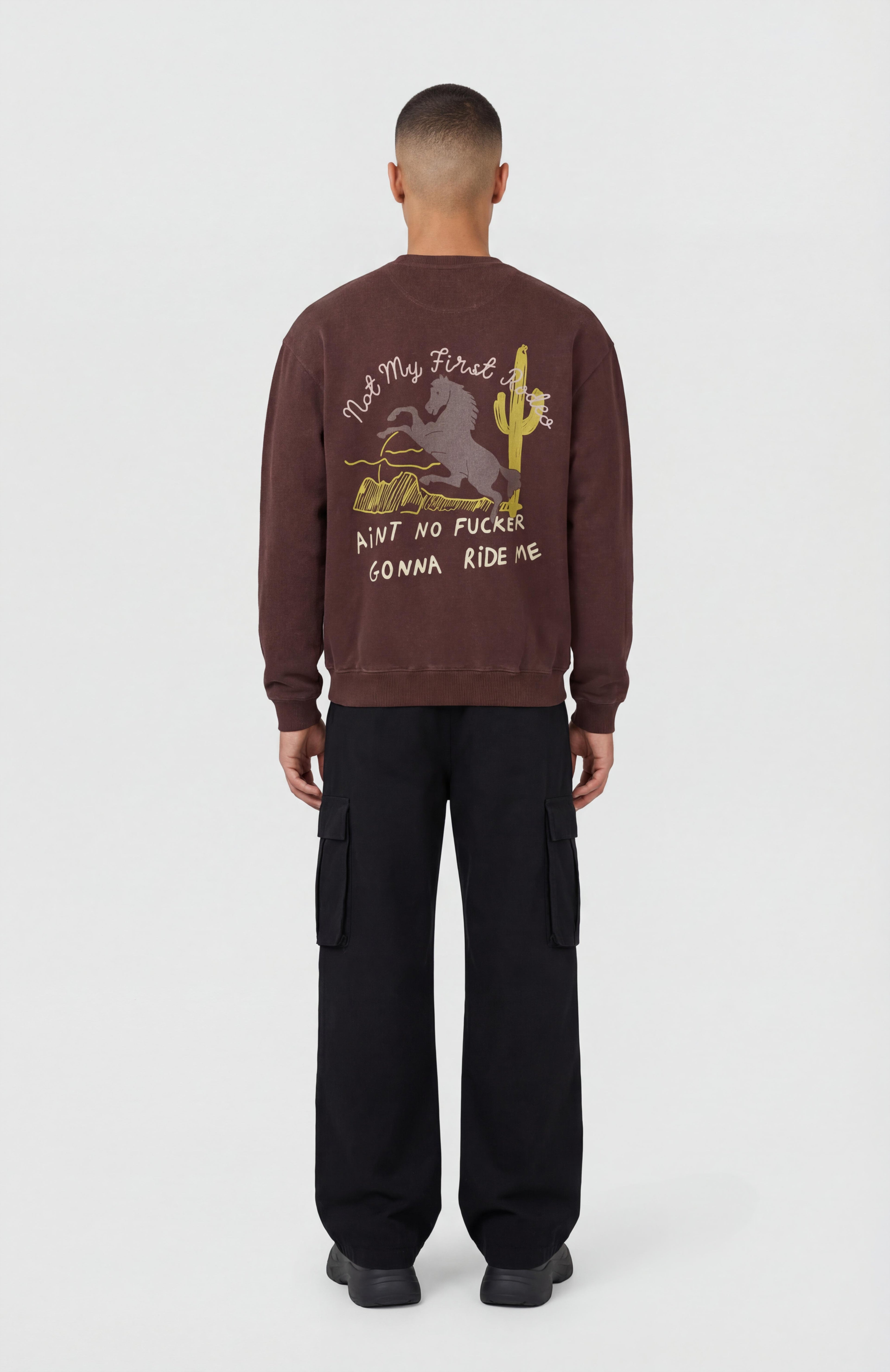 DESERT PRIDE SWEATSHIRT