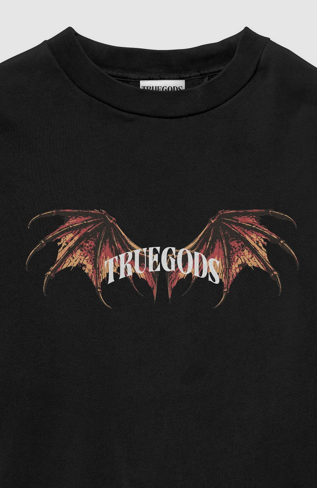 Wyvern T-shirt by Truegods – chest print close-up, dragon wings