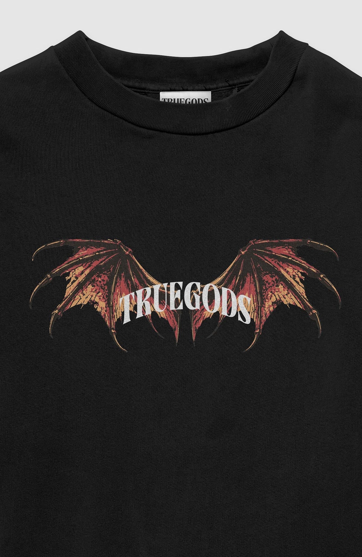 Wyvern T-shirt by Truegods – chest print close-up, dragon wings